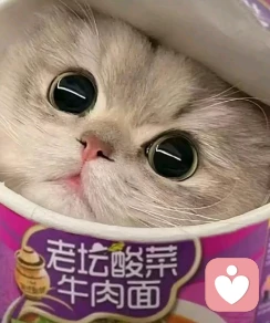 烬念