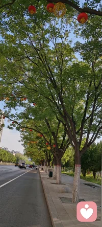 开学这么久了，那些焦虑抑郁的孩子们，你们怎么样了！我的孩子四个月走出来了，正常上学了！如果你有疑问，我们聊聊