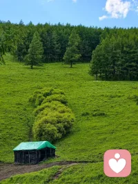 正确✅的路有时候不一定是一条平平坦坦的直路，难免有曲折和险阻！
万物皆有裂痕，那是光照进来的地方。
对于头脑清醒的追梦者来说：前路的挫折就是最兴奋的养分！因为那意味着攀爬站在山顶可以享受一份最高级的独处！