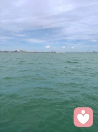 原生家庭的痛很多亲身经历过的人们用一生在救赎和疗愈！
每一个任何模型里都藏着一个被风吹过，且希望有人拥抱一下的孤寂！
被用心的接住情绪，被看见且被温柔的尊重那是幸福在招手…
“”爱”的力量何其强大！它能迸发人基因里被压制的渴望！
渴望被人爱！
渴望被人共情！
渴望被看见那份棱角和潜意识的不安！
我们像海面上碧波湖水，荡漾心田里幸福…
我们都想在某一份接纳里做回孩子，回归天真烂漫的笑容！
如果您感到疲惫了，请看看我的文章！请放下那份坚强对自己说：哇！原来我这么有趣！这么可爱。