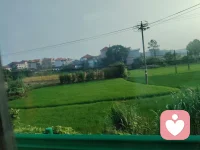 职场关系中，同事家中的喜事也是不能被忽视的局外事。这可能是把办公室交情变成生活挚友的最佳时机。为同事道喜，并非挚友间那般随性，畅所欲言。但又不能流于形式，简单敷衍。拿捏好分寸。用真诚的夸赞来传递祝福。既能带给对方满足感也能拉近彼此距离。