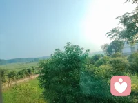 今日分享：别出心裁
我们在人际关系的往来中对客户别具一格的赞美，宛如为合作注入神奇的魔力，创意赞美能打破常规的交谈，让客户眼前一亮，感受到自身独特的价值被深度挖掘。这不仅能瞬间拉近与客户的距离还能增强咨访关系的融洽和合作。巧妙的赞美能为业务拓展铺设坚实的道路让合作在温馨，愉悦的氛围里持续升温，创造更多互利共赢的美好可能。