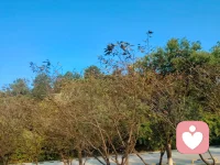 我们在与来访互动中如何1分钟进入交流读懂对方的需求？
我们在每一场与客户的互动中抓住细节予以赞美，看似细微，实则意义深远。客户静心搭配，办公室别致的布置，甚至微小的举动，都值得我们关注，这样的赞美能够让客户了解我们细致的观察力。还可以体现我们服务的细微周到。赞美细节更容易展开和延升话题，给交流营造一个相对轻松的融洽氛围。