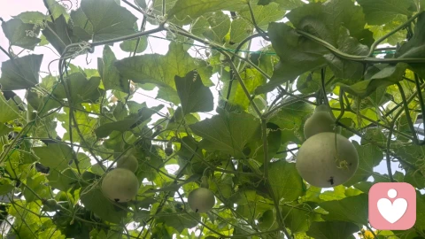 慢下来，才是成年人最好的自愈方式