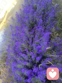 你以为过不去的坎，回头看，不过是成长的垫脚石，你以为忘不掉的伤，时间久了，也会慢慢结痂愈合。生活没有垮不过去的山，没有渡边的河，只有不肯放过自己的心。别困在回忆里，别陷在情绪里，往前走，别回头，前方自有新的风景，新的温暖。