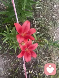 人生就像一本书，翻开是故事，合上是回忆，谁都不完美，所以适合自己的就是最好的。