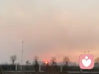 独处是清欢也是自由，安静是力量亦是温柔，一切喧闹都会归与平静，沉淀于心，高质量的独处胜过低质量的社交，学会与自己相处