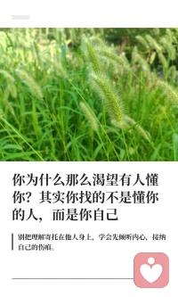 我们常渴望被理解，却忽视了倾听自己内心的力量。真正的治愈，是学会接纳和理解自己，而非依赖外界的认同。通过练习觉察和安抚自己，我们才能真正走出孤独，找到内心的平静。