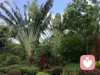 融入自然，心神合一