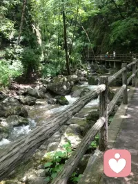 天然氧吧，洗洗肺