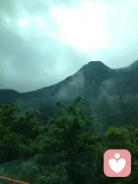 天然氧吧，洗洗肺