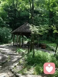 天然氧吧，洗洗肺