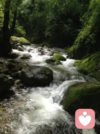 天然氧吧，洗洗肺