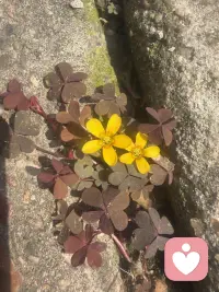 不必追逐别人的步伐，不必迎合所有人的期待。放下过度比较与内耗，走好自己的节奏，认真生活，从容接纳得失，用心做最好的自己就是最大的幸运！