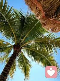 不必急着给出答案，先好好做一个倾听者。
懂得聆听，是最温柔的共情。