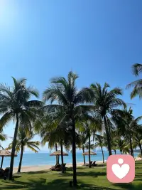 不必急着给出答案，先好好做一个倾听者。
懂得聆听，是最温柔的共情。