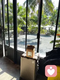 不必急着给出答案，先好好做一个倾听者。
懂得聆听，是最温柔的共情。