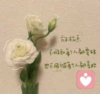 埋头好好谋生 ，闲暇取悦自己！ 谋生已经很累了，情绪自给自足配图