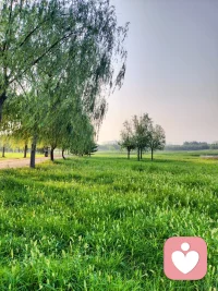 持证心理倾听师，专注情绪疏导、压力缓解、人际关系梳理。全程保密倾听，尊重每一种情绪，客观梳理问题，帮你跳出情绪死胡同。私密倾诉，安全放心，你的心事，到此为止。