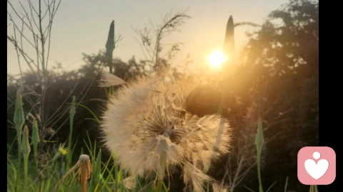 不必逞强,你值得被温柔接住