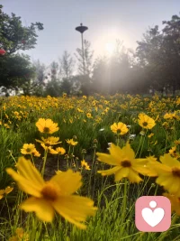 安静倾听你的悲欢，接纳所有不完美，陪你梳理心底难解的纠葛。
​
不必伪装坚强，在这里，你的委屈、迷茫都值得被好好安放。