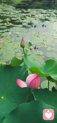 不知道你会不会时常有这种感受：
身边人很多，能交心的却很少。
有些委屈说出来怕别人无法理解，只能默默压在心底。
长期积攒的情绪，终会压垮自己。
如果你正处于这样的状态，不妨试着倾诉。
我愿意耐心倾听，陪你梳理纷乱的内心。