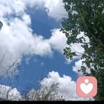 小柚子的头像