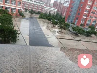 现在天气预报好准，真下雨了，被隔在实验室了，不过这一下雨，马上凉快起来了。