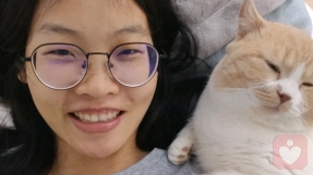 罗莎