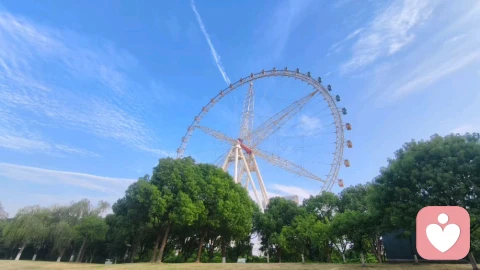 为什么你越讲道理，伴侣越不想跟你说话