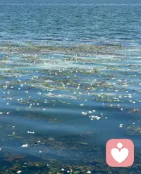生命没有一劳永逸的“解决”，唯有在种种“感觉不好”中承住重量，才能贴近被隐藏的真相。

那些痛感，并非需要按停的闹铃，而是生命催促我们起身的提醒——它意味着旧有模式已无法承载新的发展，唯有循着痛感，寻回被封印的力量与智慧，松解执着，让生命力与选择权重新归位。

这正如加缪的洞见：“对未来的真正慷慨，是把一切都献给现在。”