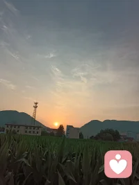 卜算子·自嘲（《天道》丁元英） 
 
本是后山人，偶做前堂客。
醉舞经阁半卷书，坐井说天阔。
 
大志戏功名，海斗量福祸。
论到囊中羞涩时，怒指乾坤错。

 
本是山野平凡之人，偶然登上大雅厅堂；
仗着读过一点书本皮毛，就坐井观天高谈阔论。
 
胸怀大志看淡功名利禄，胸怀如海评判世间福祸；
可一旦兜里没钱处境窘迫，便指责世道苍天不公。
 
饭局上吟这首，表面是自嘲，实则点破很多