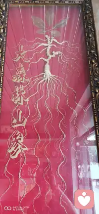 万般皆是命，放过自己，才是最好的修行！