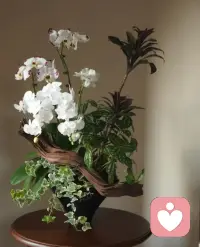 千秋大业一壶茶，万丈红尘一杯酒！