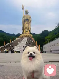 以心修业，静待登峰

品读《地藏菩萨本愿经》，方知人间浮沉、追梦甘苦，皆有业缘因果可循。经云：“万死千生，业感如是；动经亿劫，求出无期。”人生困顿从非天降磨难，皆是心念浮沉、业力感召的境遇。奔赴帕多瓦深耕架子鼓的逐梦途中，我曾在反复打磨技艺的晨昏里迷茫，在漫长等待与未知考验中忐忑，数次深陷自我怀疑的内耗。但是其实所有辗转煎熬，皆是修行路上的业障考验，唯有静心自省、笃行不怠，方能破迷出尘，挣脱心念的桎梏。

经中赠言醒世：“脱获善利，多退初心；若遇恶缘，念念增益。”此为世人最易沉沦的通病。追梦路上偶得些许进步，便易心生懈怠、慵懒松懈，忘却当初远赴异国、深耕乐艺的滚烫初心；每逢瓶颈阻滞、备考压力缠身，杂念纷至沓来，焦虑与怯懦层层叠加，几度动摇前行的脚步。顺境易惰，逆境易馁，守一时热忱易，守长久初心难。乐艺之路贵在沉淀，一朝松弛，便会荒废无数日夜的积攒，唯有时时自警，方能不负耕耘。

“闻健自修，分分己获；无常大鬼，不期而到。”八字真言，字字恳切，时时砥砺我前行。韶华有限，光阴无常，可修、可拼、可奋进的时日，最为珍贵且不可重来。每一次鼓点的打磨、每一遍语言的研习、每一刻沉静的积淀，从无虚耗，皆为自身所得、自成底蕴。世间机遇从不等人，无常瞬息而至，唯有趁年少风华，勤勉自修，不怠朝夕，不负寸阴。

地藏大愿，历劫难退，恒守初心，终成圆满。求学之路亦是修行之路，不必惧前路漫漫，不必忧因缘迟晚。往后余生，当摒弃浮躁，涤荡妄念，勤心不褪，笃行不止。以精进磨技艺，以静心渡迷茫，以坚守待花期。深信业由心造，久久耕耘，终能冲破所有阻碍，如愿金榜题名，奔赴山海热爱，在异国乐土绽放属于自己的光芒。