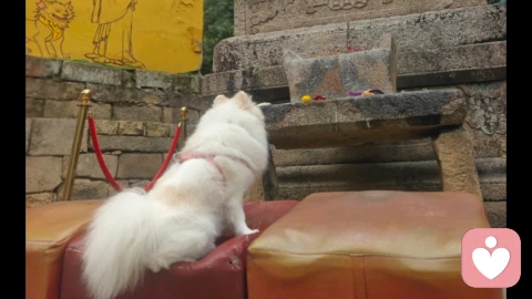 绵绵用力,久久为功