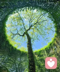 依地藏初心，悟万般皆是圆满
品读《地藏经》，终懂世间所有际遇，皆是命中注定的最好安排。经文诉说因果轮回，渡人放下执念、接纳无常，让我们知晓人生从无无故的磨难，亦无徒劳的相逢。
众生烦恼，皆因我执太深。我们常为缺憾耿耿于怀，为离别满心不甘，执着于未圆满的人事、未如愿的归途。可地藏慈悲开示，世事因缘具足、分毫不差，所有困顿、遗憾、相遇与别离，都是岁月的修行，是渡我们成长的契机。
祸福皆是馈赠，起落皆是修行。那些突如其来的风雨、擦肩而过的遗憾，不是命运的苛责，而是帮我们消业渡厄、沉淀本心。
人生万般境遇，皆有深意。不怨世事浮沉，不恨人事无常，坦然接纳得失起落。心怀善意，静待花开，便知世间所有过往、当下与未来，从来都是命运温柔周全的最好安排。
经中言因果不虚，善恶有报，因缘有序。今生遇见的人、经历的事、走过的弯路、受过的委屈，都是前世的积淀、今生的修行。有些人的离开，是为了帮你斩断执念；有些事的不顺，是为了替你消业避祸；有些短暂的遗憾，是为了成全往后更长的圆满。
人生起落本是常态，祸福从来相依。看似泥泞坎坷的岁月，实则是打磨心性的道场；看似求而不得的遗憾，实则是命运温柔的成全。很多当时想不通的困顿、放不下的心结，时隔回望才懂得：所有不遂人意，都是另有安排。
众生皆在红尘修行，所有经历，皆为馈赠。顺境是福报，让我们懂得珍惜；逆境是历练，让我们学会沉淀。得失皆是成长，起落皆是圆满。
往后余生，愿学着地藏的慈悲与从容，不怨世事无常，不恨聚散匆匆，接纳所有发生，释怀所有遗憾。相信冥冥之中自有天意，所有经历皆有缘由，所有遇见皆有归宿。
万般皆是命，半点不由人，一切，都是最好的安排。