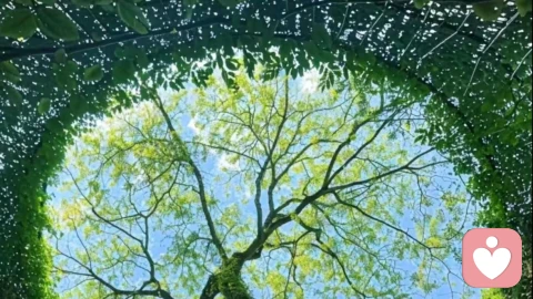 依地藏初心，悟万般皆是圆满