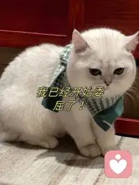 又被因为我声音低沉的，以为是男声的宝子无情地挂了电话！