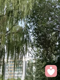 心理健康，乐观积极，每天进步，每个人都可以做到，我想帮助每个人幸福开心，需要的朋友随时欢迎你