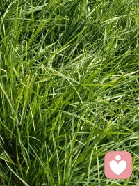 面对失业与负债的双重夹击，感到焦虑、迷茫甚至窒息，是非常正常的心理反应。但请你相信，这只是人生节奏的一次调整，而不是人生的终局。钱没了可以再赚，但如果心态崩了，才是真的满盘皆输 。要走出这段至暗时刻，你可以尝试通过以下几个步骤来重建心理秩序和生活掌控感：

1. 允许情绪释放，接纳当下的低谷
失业带来的最大冲击往往是身份认同的崩塌和自我怀疑。请先给自己几天时间，允许自己难过、愤怒或迷茫，不要急于疯狂投简历或强迫自己立刻振作 。承认并接纳目前的困境，不要过度自责。你要明白，失业往往是宏观经济环境或行业周期造成的，并非你个人能力的完全否定 。把失业当作暂时的挫折，越早接受现实，就越早能进入人生的下一个阶段 。

2. 停止灾难化想象，直面债务真相
人在极度焦虑时，容易陷入“要么全部解决，要么彻底崩溃”的二元困境 。面对债务，不要只在脑海中反复算“亏了多少”，而是要拿出一张纸，列出所有债务的清晰清单（包括债权人、本金、利率、最低还款额等），让模糊的恐惧变成具体的数字 。对于银行或正规平台，可以主动联系客服说明困难，尝试协商分期或延期还款 。把大债务拆解成每天、每周可以解决的小目标，今天解决一点，就离自由近一步 。

3. 盘点个人资产，寻找过渡性收入
在解决生存问题之前，先不要执着于寻找“完美全职工作”。你可以盘点一下自己除了主业之外的技能资产、时间资产和人脉资产 。如果短期内找不到合适的全职，不妨先尝试做一些灵活性高、心理负担小的临时性工作或兼职（如日结工作、简单维修、代驾等），先保证每月的最低还款和基本生活开支 。行动本身就能帮你夺回对生活的掌控感，缓解生存焦虑 。

4. 剥离外在标签，重新定义自我价值
很多时候，我们痛苦是因为死死抓住“成功、富有、体面”的执念不放。负债和失业，其实是一把锋利的刀，帮你砍掉了那些虚荣的“外壳” 。请试着用其他方式来定义自己：你的价值不依赖于外在的财富或职位，而是你扛着山前行的背影，是你在谷底依然不放弃的尊严 。去关注那些不花钱却能让你感到充实的事情，比如看书、跑步、给家人做一顿饭，找回那个本真的、纯粹的自己 。

5. 保持身心健康，构建支持系统
在最艰难的时刻，睡眠、规律饮食和低成本运动（如散步、跑步）绝不是奢侈，而是你这场持久战中最重要的后勤补给。身体垮了，一切归零 。同时，不要试图独自承受所有压力，找一个绝对信任、情绪稳定的家