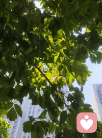 很多的时候，我们过于去对抗一件事，越去执着它，就越痛苦，当我们不再去专注牛角尖，尝试换一种目标，让自己对专注的事情不那么在意，就不再痛苦，我们当做个问题，它就是问题