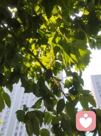 陷在抑郁的的泥潭中，我们会有一个误区：等待好转了再去行动，往往我们变成了无休止的等待，心理学提倡，用行为去改变现在的状态，不一定要你去跑一趟马拉松，能运动五分钟，就是走出来的第一步。逐渐用行为去让你好转。