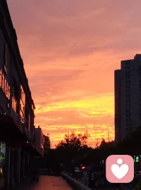 认知行为疗法（CBT）,从改变人的认知入手，认知决定行为，纠正错误的观念，通过调整认知来达到与行为统一的方式。
精神分析流派，代表人弗洛伊德，通过挖潜意识，原生家庭童年创伤来疗愈心理，通过梦境来看见潜意识。避免全部甩锅原生家庭，任何治愈都可以从现在当下转变认知开始