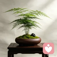 真正厉害的人，从来不说难听的话，因为人心不需要听真话，只需要听好听的话，所以学着做一个有温度且睿智的人。不相为谋，但照样能心平气和。冷眼相待，依旧可以风生水起。所见皆是我，好与坏，都不反驳。