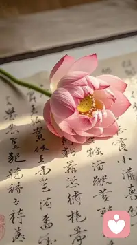 别人怎么对我是他的业，我怎么对别人是我的业，放下过去，活在当下，毕竟，人生只有短短几十年，下一世，谁也不会遇见谁