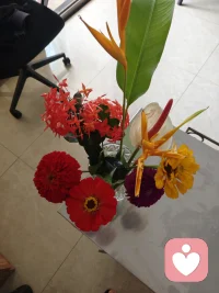 花香宜人，在纷纷扰扰的社会，偶尔也需要装扮一下房间，在无聊无助时候可以看看花，找人聊聊天，让内心得以安静……