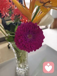 花香宜人，在纷纷扰扰的社会，偶尔也需要装扮一下房间，在无聊无助时候可以看看花，找人聊聊天，让内心得以安静……