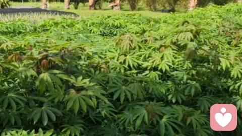 焦虑怎么办呢?