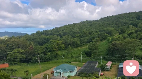 知命数、明变数